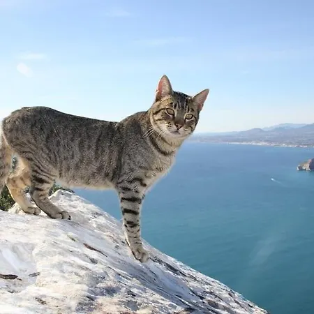 Blasco - Plusholidays *